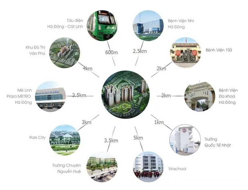 liên kết vùng chung cư booyoung vina