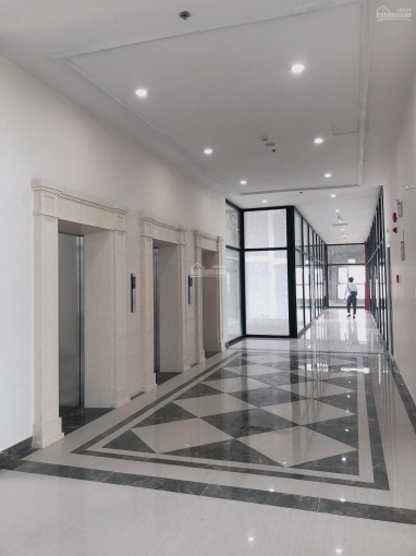 Bán sàn văn phòng tầng 6 Roman Plaza, tòa B1, diện tích 120m đẹp nhất thị trường.